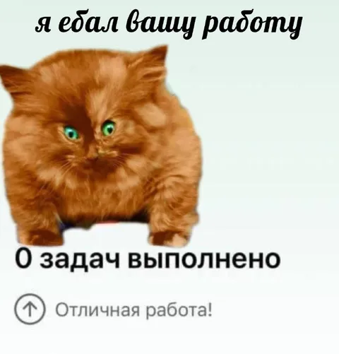 Кот, который выполнил работу