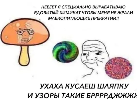 Ядовитый гриб кусает шляпку
