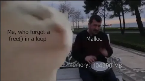 Forgot Free in a Loop