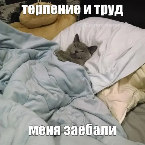 Терпение и труд