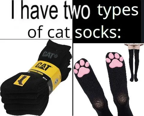 I Have Two Types of Cat Socks