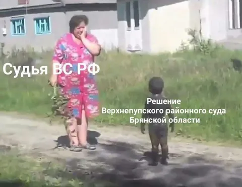Судья ВС РФ и решение суда