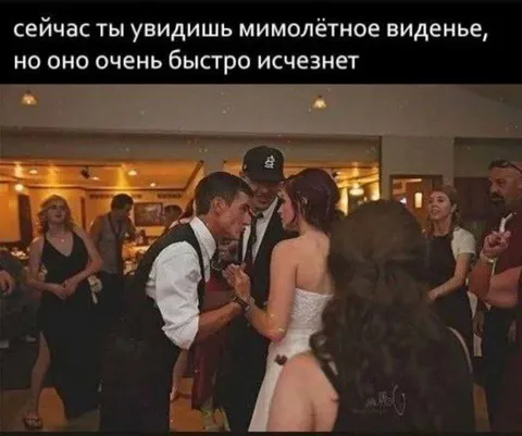 Мимолётное виденье исчезает