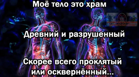 Моё тело — древний хлам