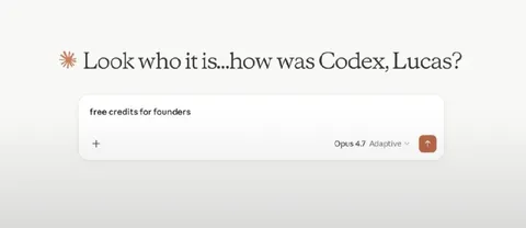 Look Who It Is, Codex
