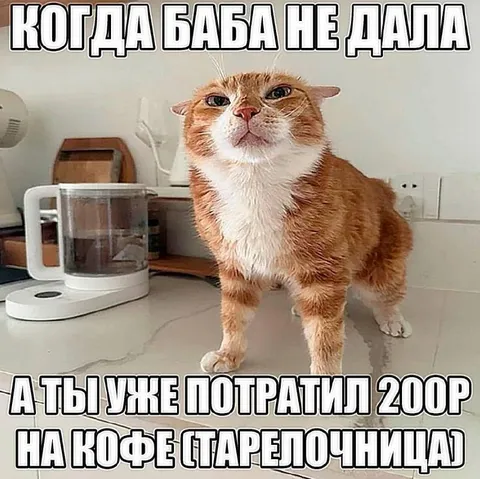 Баба не дала — кофе старелочница