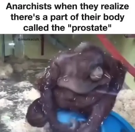 Anarchist Discovers the Prostate