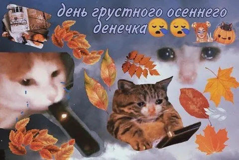 День грустного осеннего денёчка