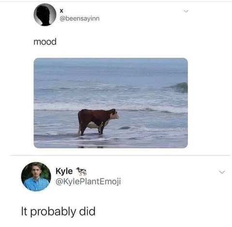 Cow Standing in the Ocean