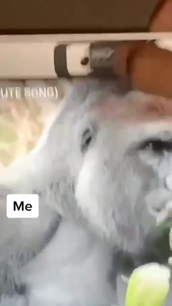 FBI Spying on Me