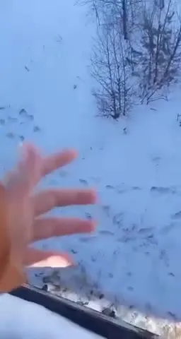 Когда телефон выпал из рук