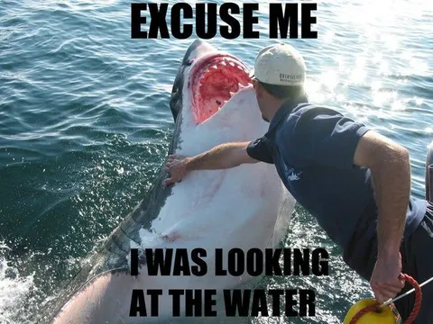 Excuse Me, I Was Looking at the Water