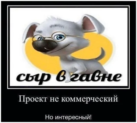 Сыр в гавне