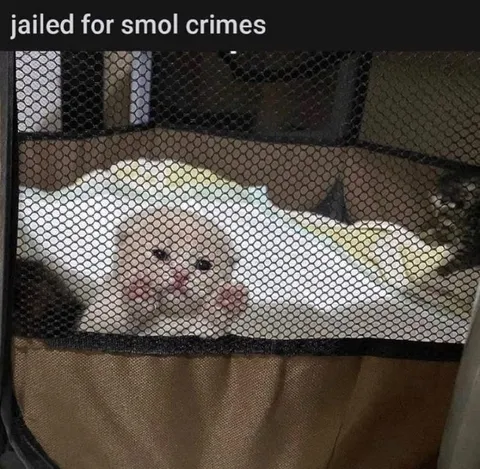 Jailed for Smol Crimes