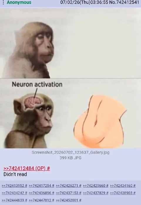 Neuron Activation Monkey