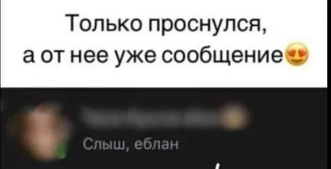 Проснулся — а она уже пишет