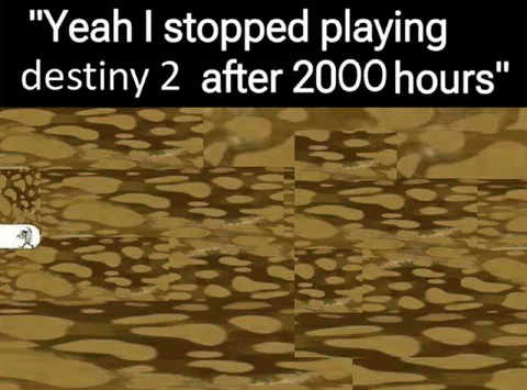 Stopped Playing Destiny 2 After 2000 Hours