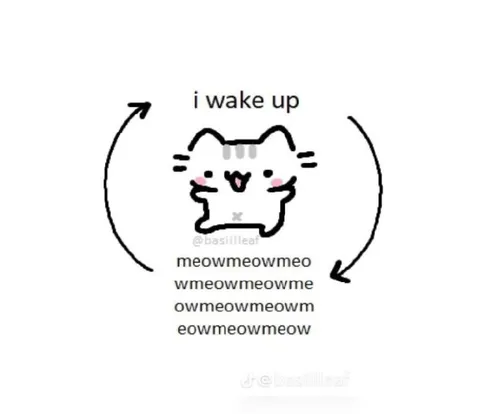Cat Wakes Up Meowing