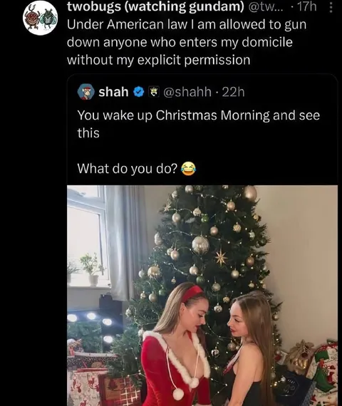 Christmas Morning Home Intruders