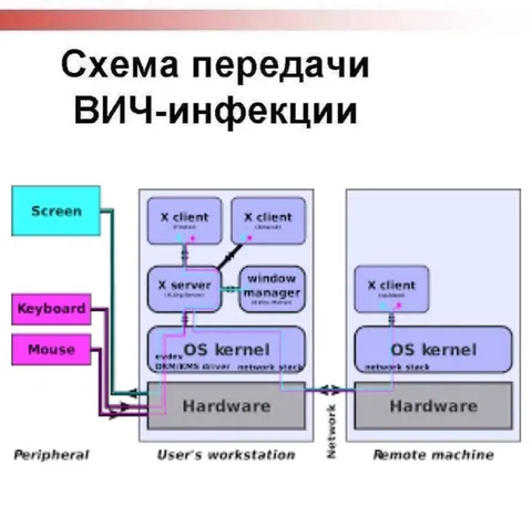 Схема передачи ВИЧ-инфекции