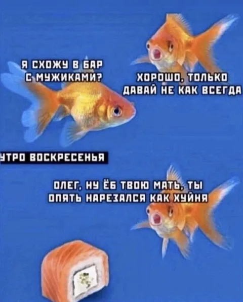 Рыбки после воскресной пьянки
