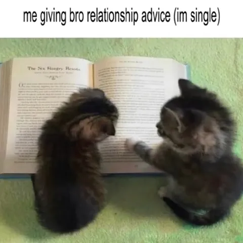 Single Guy Gives Relationship Advice