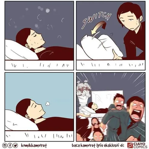 Switch the Pillow