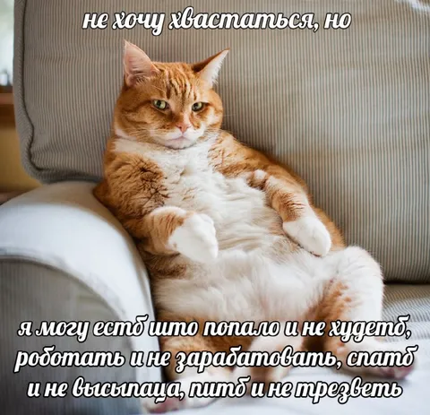 Не хочу хвастаться, но