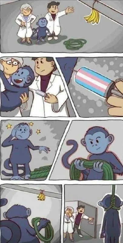 Обезьяна сама себя поймала