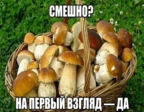 Смешная корзина грибов