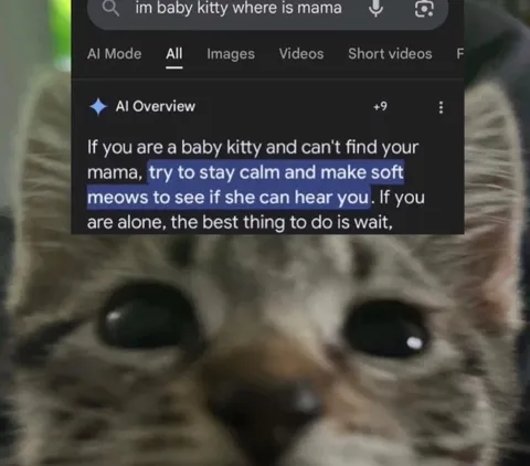 Baby Kitty Can't Find Mama