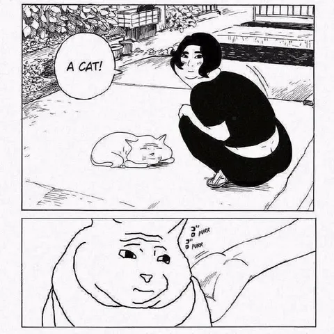 A Cat! Purring Cat Reaction