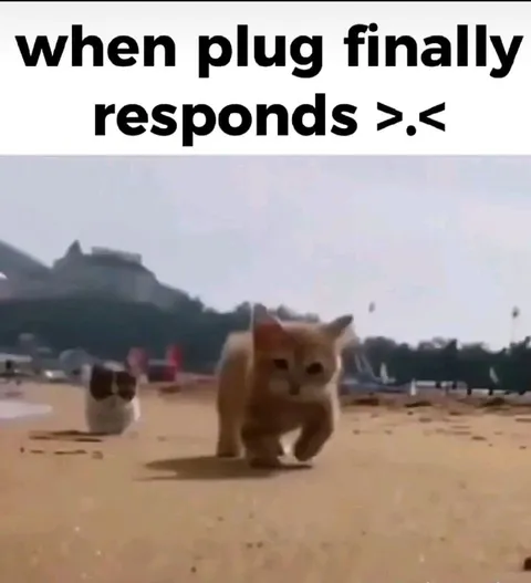 When Plug Finally Responds