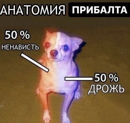 Анатомия прибалта