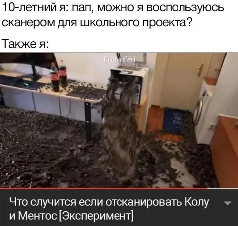 Папа, можно сканер для проекта?