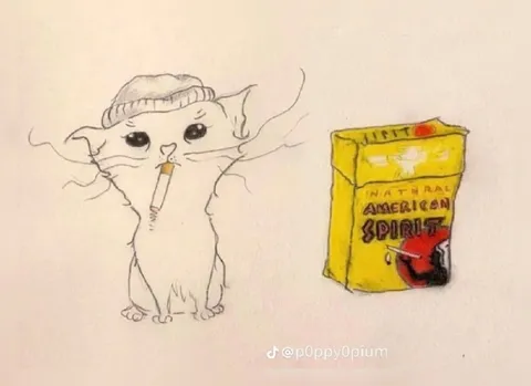 Smoking Cat and Cigarettes