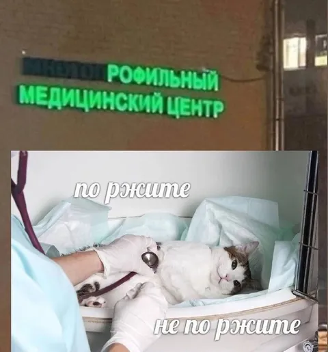 Кот на приёме у врача