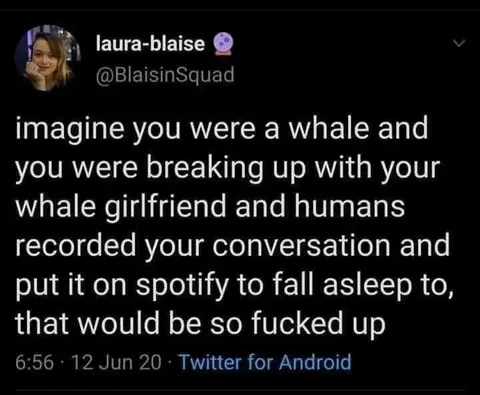 Whale Breakup Sleep Podcast