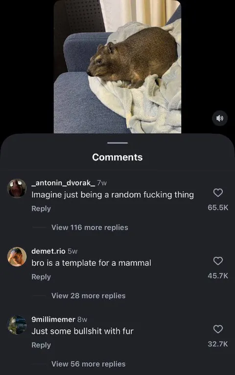 Random Mammal Template