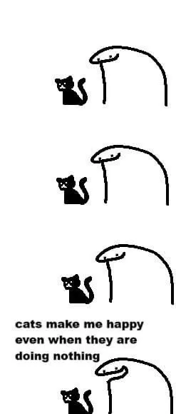 Cats Make Me Happy