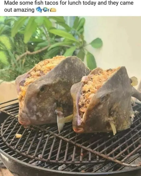 Fish Tacos Gone Wrong