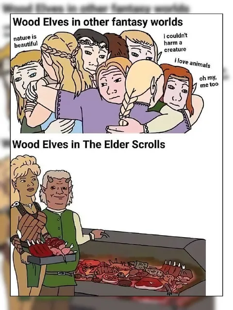 Wood Elves in The Elder Scrolls