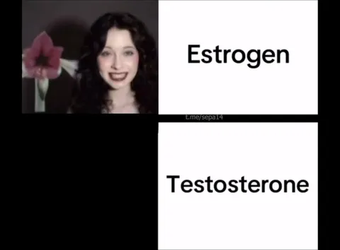 Estrogen Versus Testosterone