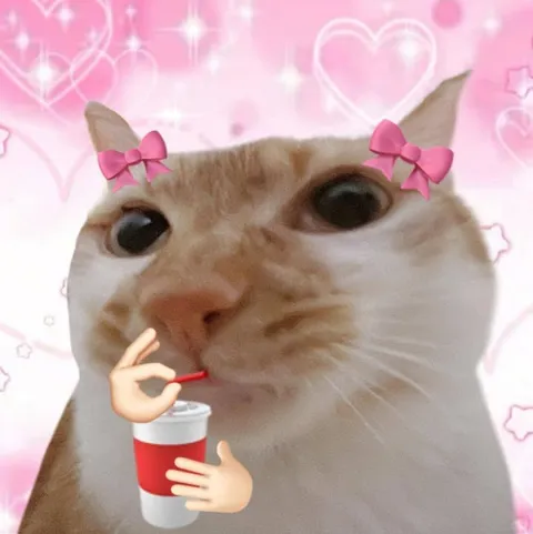 Котик с кофе и бантиками