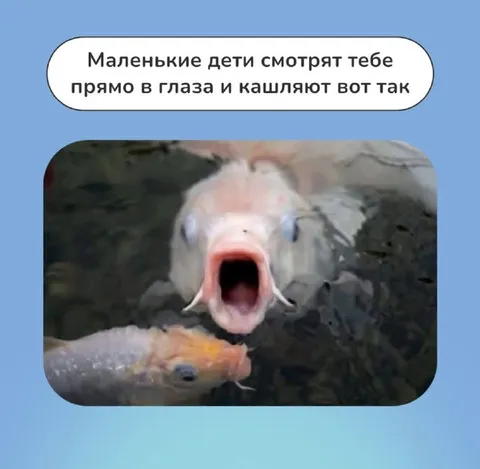 Карп кашляет прямо в глаза