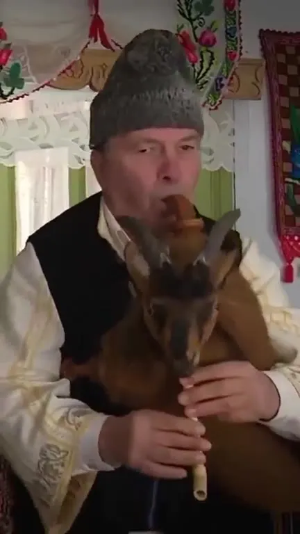 Козёл играет на дудочке