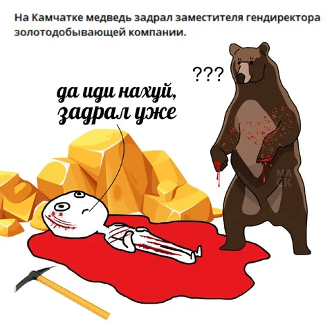 Медведь задрал золотодобытчика
