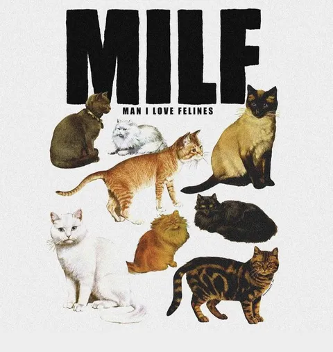 Man I Love Felines