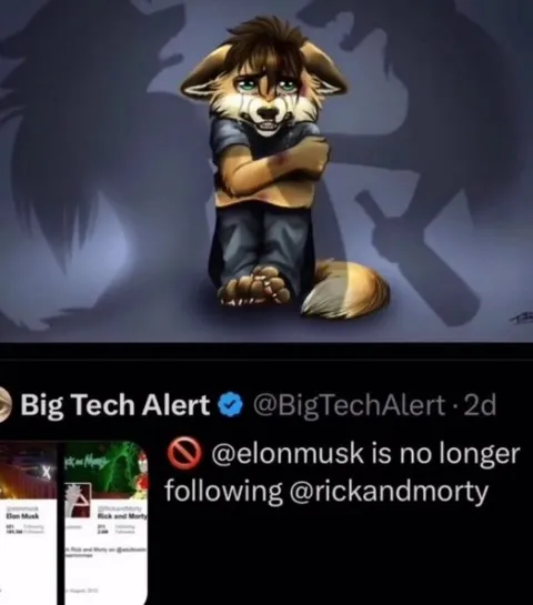 Elon Musk Unfollows Rick and Morty