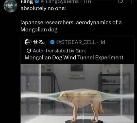 Mongolian Dog Wind Tunnel